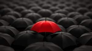 A single red umbrella stands out among a sea of closed black umbrellas, reminiscent of a standout idea on a website. The image, captured from above, mirrors how unique services can shine through, creating striking visual interest against a dark background.